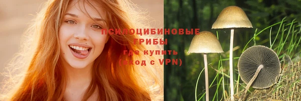 mdpv Лабытнанги