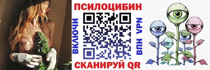 Псилоцибиновые грибы мухоморы  Купить закладки  Кашин 